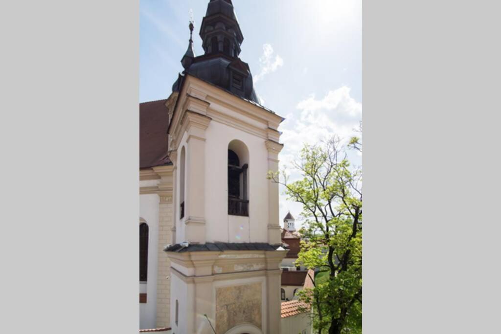 Private Sauna & 4 Bedrooms Old Town Rooftop Apartment Vilna Exterior foto