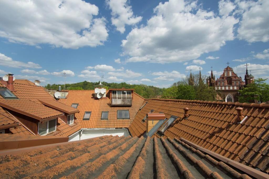 Private Sauna & 4 Bedrooms Old Town Rooftop Apartment Vilna Exterior foto